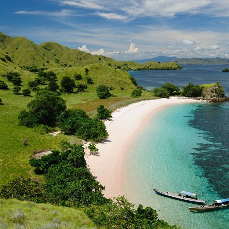Komodo Dragon Adventure